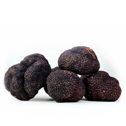 Fresh Black Winter Truffle